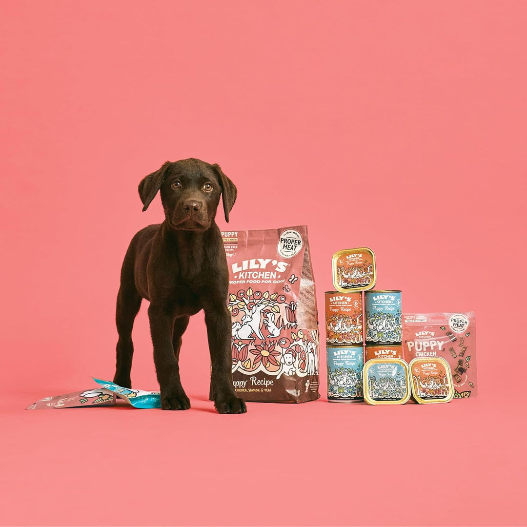 Lily's Kitchen Natürliches Trockenfutter für Welpen Huhn Lachs und Erbsen (7kg Pack) Puppy 7 kg (1er