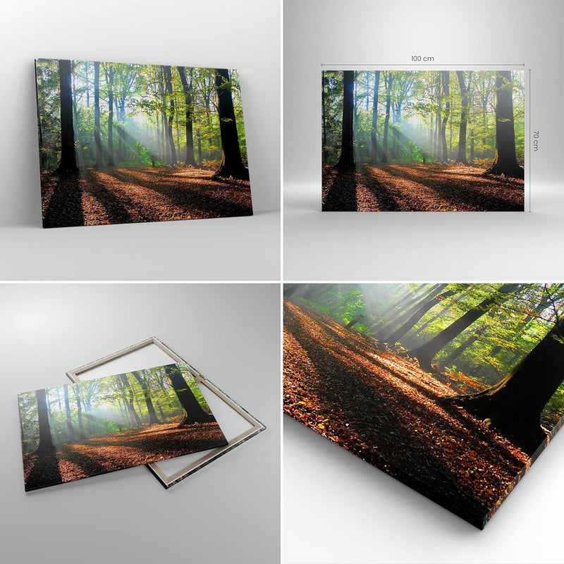 Bilder auf Leinwand 100x70cm Leinwandbild mit Rahmen Wald Blätter Sonne Gross Wanddeko Bild Schlafzi