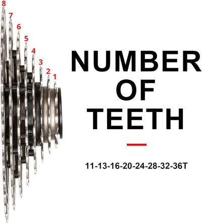 Alomejor 8-Gang-Kassette 11-36T MTB-Mountainbike-Kassette mit grossem Übersetzungsverhältnis Geeigne
