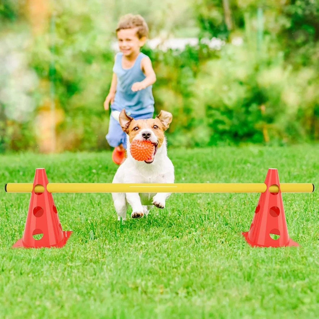 Agility Set Hunde,Steckhürdenset Hund,Hund Hürden,Kinder Agility Hürden Hindernisse für Pferde Hunde