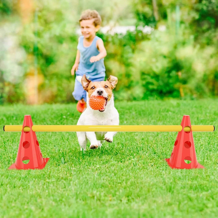 Agility Set Hunde,Steckhürdenset Hund,Hund Hürden,Kinder Agility Hürden Hindernisse für Pferde Hunde