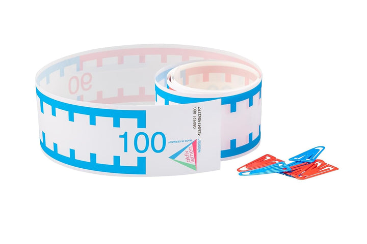 WISSNER 80921 aktiv lernen - Grosses Zahlenstrahl Rechenband 0-100 0 to 100 Range, 0 to 100 Range