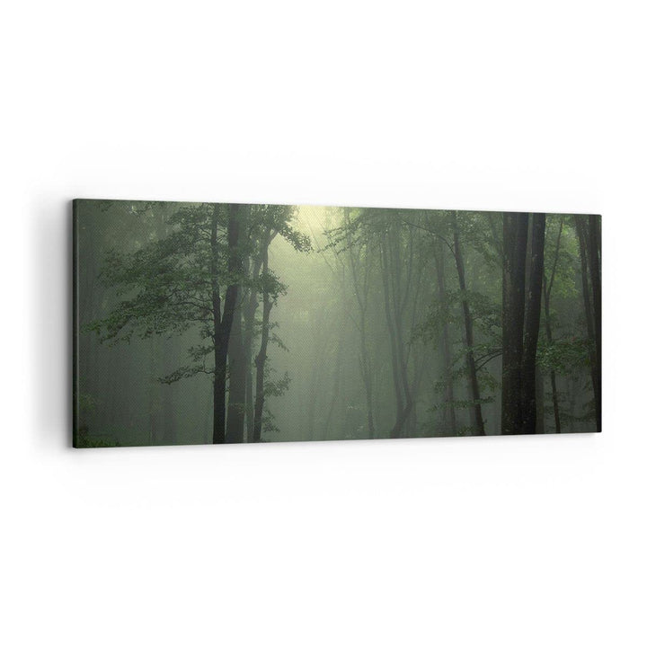 Wandbilder Dekoration Wohnzimmer Wald Nebel Baum Panorama Bilder auf Leinwand 120x50cm Leinwandbild