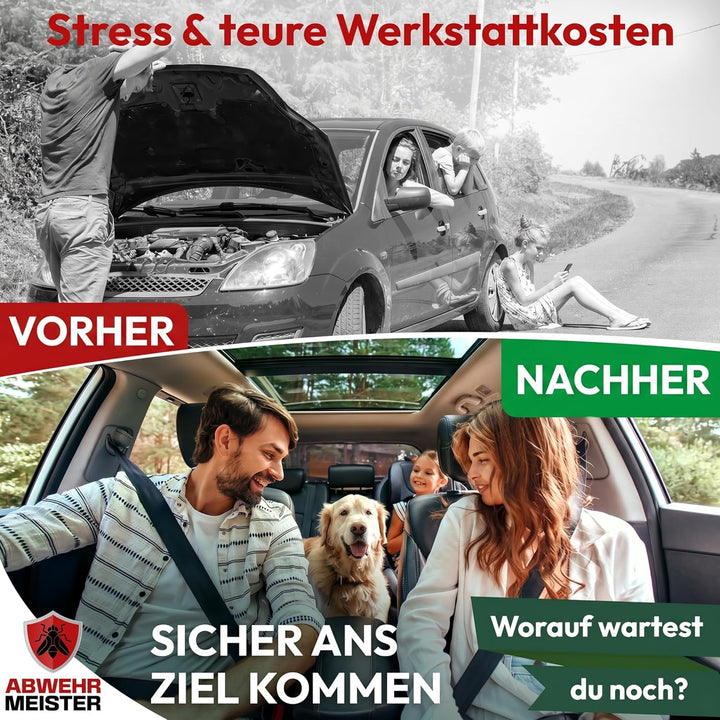Original 8X Marderschreck-Kugeln inkl. PKW-Halterung, Marderschreck Auto mit Sofort und Langzeitwirk