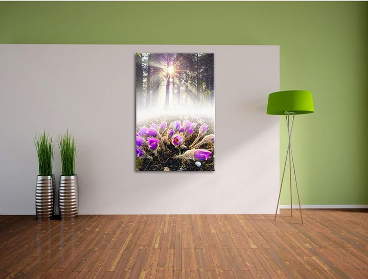 Pixxprint blühende lila Blumen im Wald, Format: 100x70 auf Leinwand, 100x70