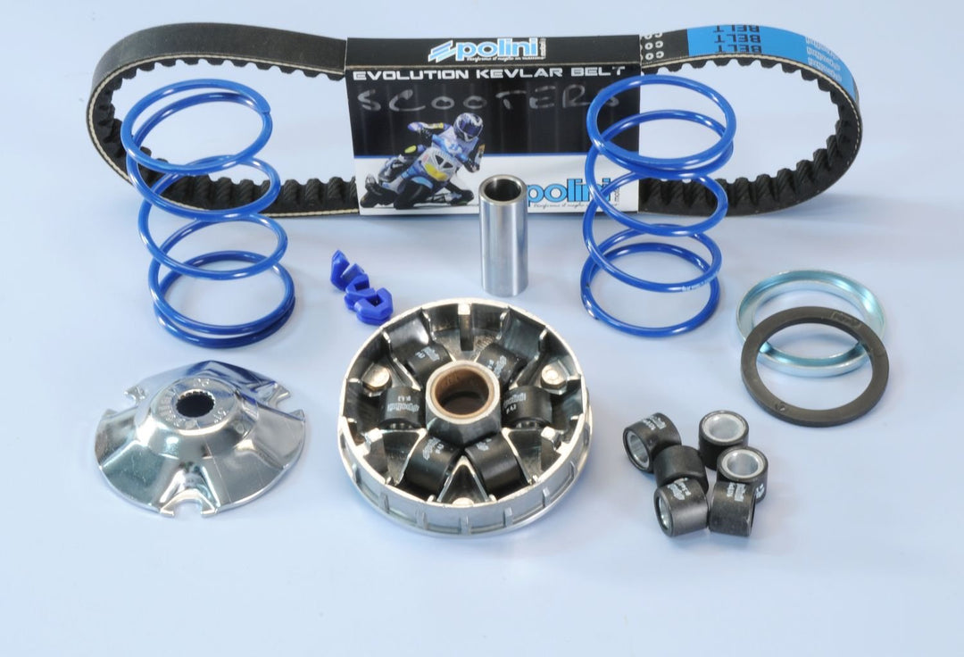 POLINI Variatorkit HI-Speed für Piaggio lang (Variator, Keilriemen, 2 Gegendruckfedern, 2 Satz Gewic