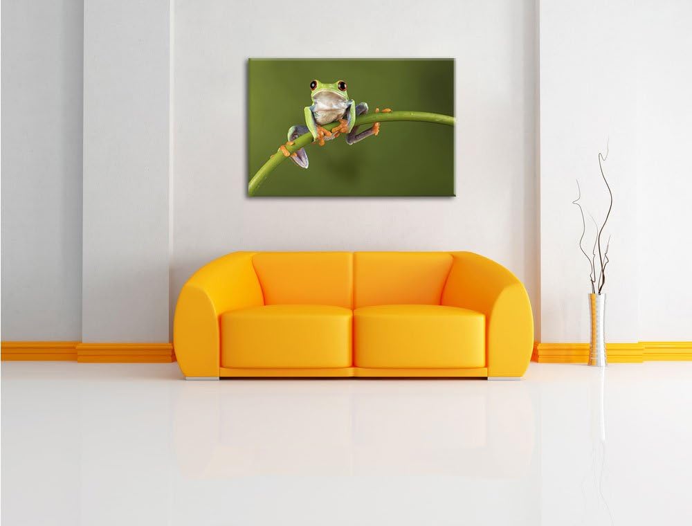 Baum-Frosch auf Bambus, Format: 100x70 auf Leinwand, XXL riesige Bilder fertig gerahmt mit Keilrahme