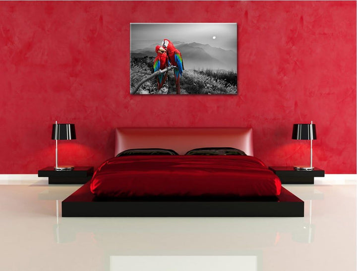 süsse Papageien auf Ast schwarz/weiss Format: 100x70 auf Leinwand, XXL riesige Bilder fertig gerahmt