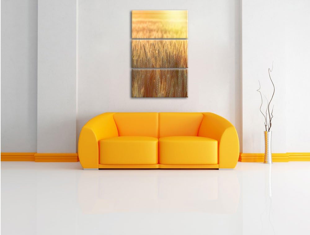 Pixxprint Getreidefeld als Leinwandbild - Grösse: 3-Teilig (120x80cm) - Wandbild - Kunstdruck - fert