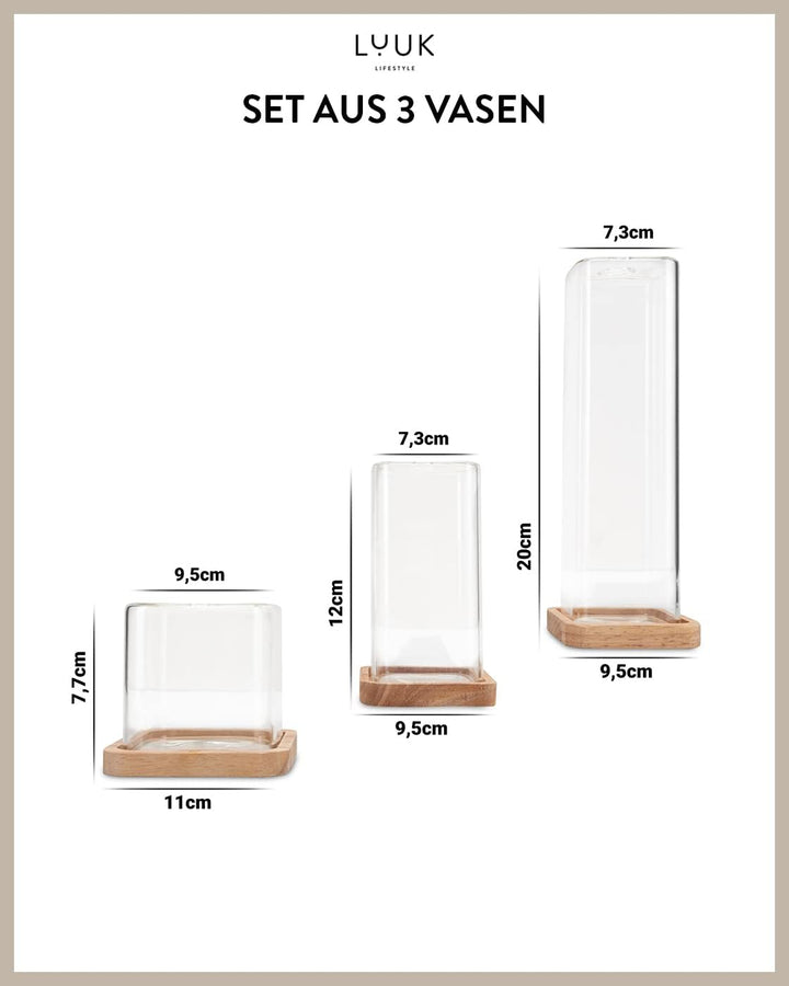 LUUK LIFESTYLE Glasvasen Cube, Deko, kleine Vase, Vasen-Set, minimalistisch, kleine Vase, quadratisc
