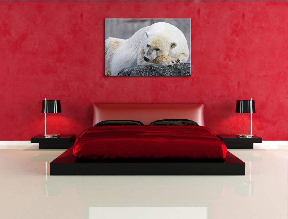 Pixxprint schlafender Eisbär auf Leinwand, XXL riesige Bilder fertig gerahmt mit Keilrahmen, Kunstdr