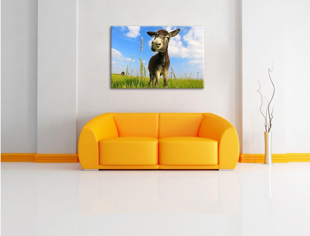 Pixxprint Esel in einem Feld in sonnigen Tag, Format: 100x70 auf Leinwand, 100x70