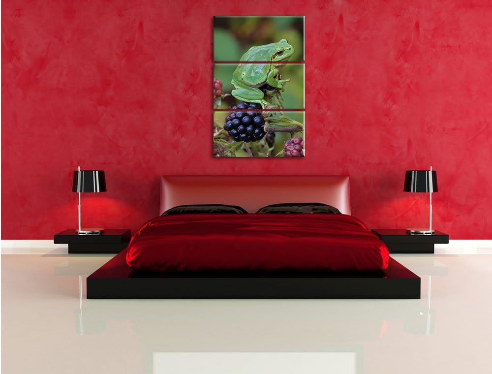 Pixxprint Kleiner Frosch auf Brombeerstrauch 3-Teiler Leinwandbild 120x80 Bild auf Leinwand