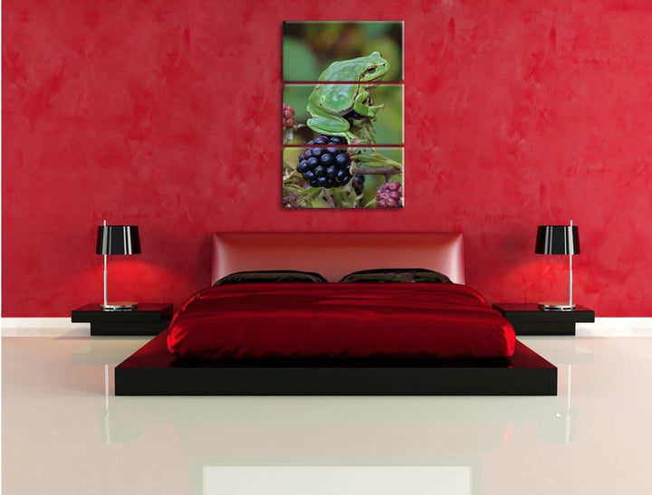 Pixxprint Kleiner Frosch auf Brombeerstrauch 3-Teiler Leinwandbild 120x80 Bild auf Leinwand