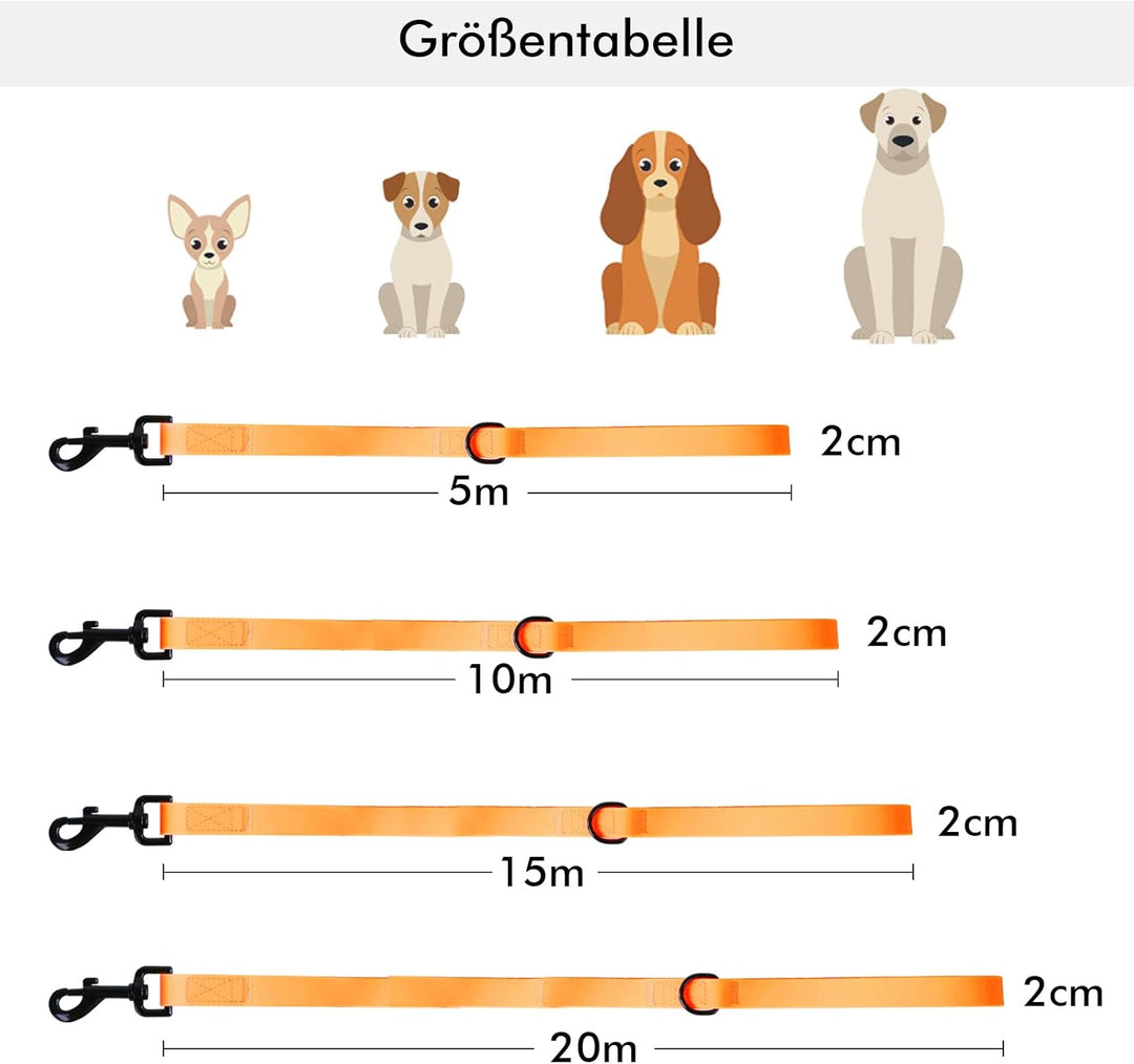 Schleppleine für Hunde, Schleppleine 5m/10m/15m/20m mit Handgriff und D-Ring, Wasserdicht und Leicht