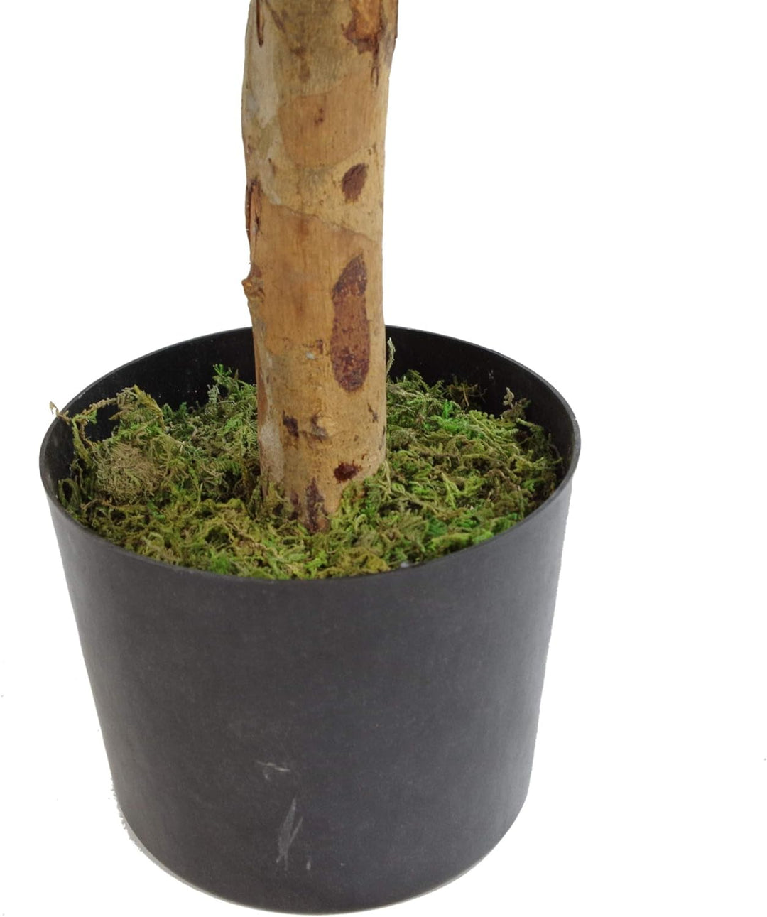 Leaf Dracaena Kunstblatt, 100 cm LEAF-7167 100cm Dracaena 100cm Dracaena, 100cm Dracaena 100cm Draca