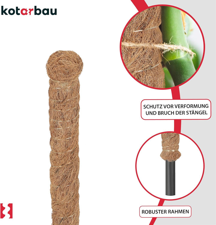 KOTARBAU® 4er Set Moosstab für Monstera Kokos Natural ⌀ 2,5 x 80cm Pflanzenstab Rankhilfe für Monste