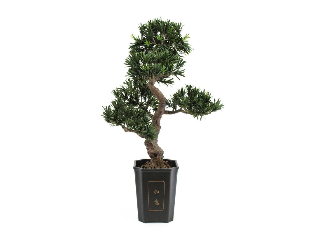 Euro Palms Wohnaccessoires & Deko, Grün