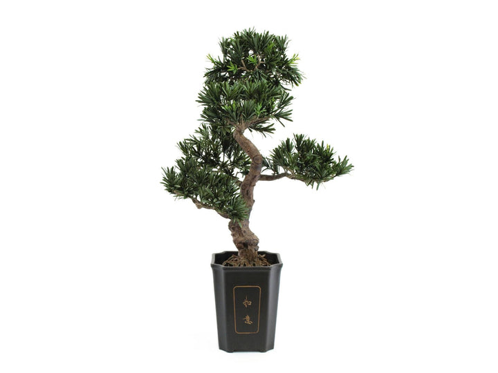Euro Palms Wohnaccessoires & Deko, Grün