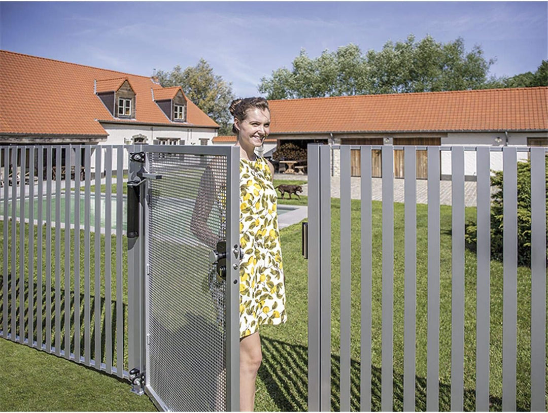 LOCINOX ZILV Türschliesser Lion, für Türen bis zu 75 kg, Aluminium silberfärbig, Silber