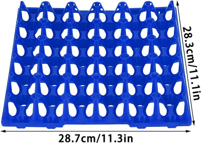 Eierkisten, 5 STÜCKE Kunststoff Eierkartons 30 Zellen Eierkisten Halter Tablett für Lagerung Transpo