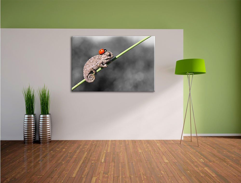 Pixxprint Süsser Gecko mit einem Marienkäfer als Leinwandbild/Grösse: 100x70 cm/Wandbild/Kunstdruck/