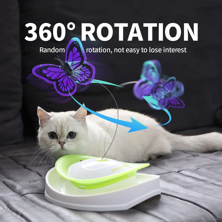 ALL FOR PAWS 2 in 1 Interaktives Katzenspielzeug zum Umrollen von Flattern, interaktives Katzenspiel
