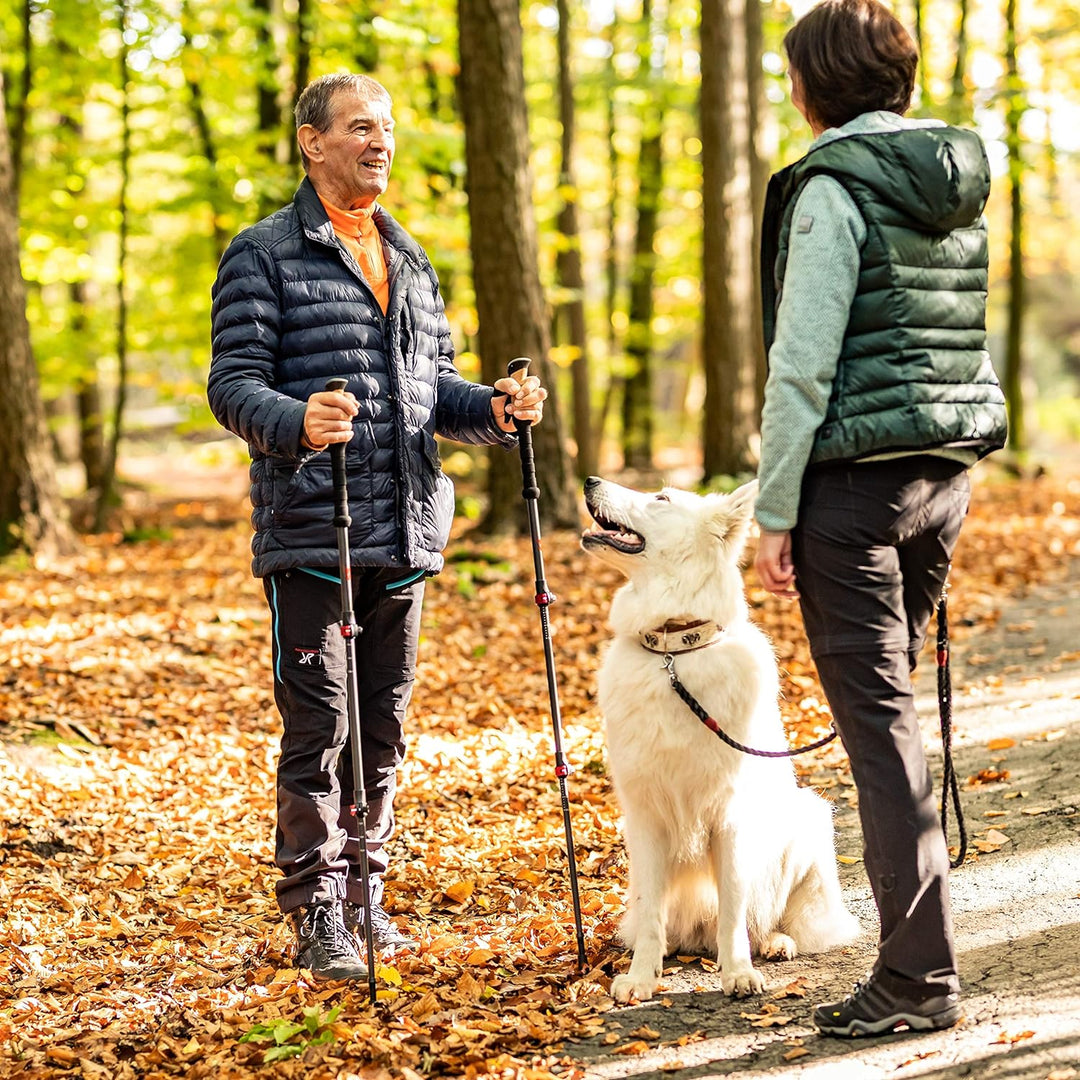 Rothwild Wanderstöcke, Modell Steinbock, Trekkingstöcke aus Carbon mit Kork-Griff, für Damen und Her