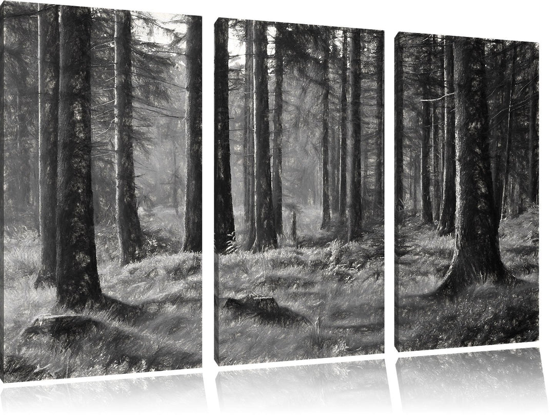 Pixxprint sonniger Tag im Wald / 3-Teilig/Gesamtmass 120cm Leinwandbild bespannt auf Holzrahmen/Wand