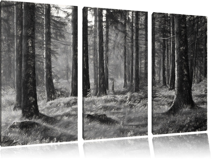 Pixxprint sonniger Tag im Wald / 3-Teilig/Gesamtmass 120cm Leinwandbild bespannt auf Holzrahmen/Wand