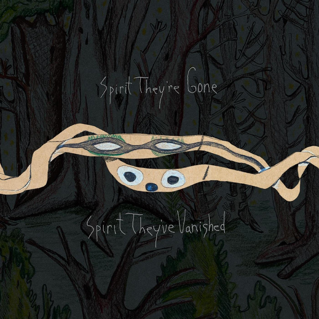 Spirit They'Re Gone,Spirit They'Ve Vanished, Vinyl