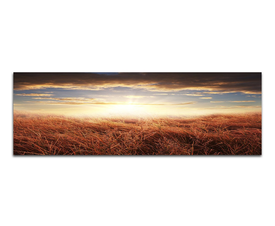Paul Sinus Art Panoramabild auf Leinwand und Keilrahmen 120x40cm Feld Herbst Sonnenuntergang Wolken