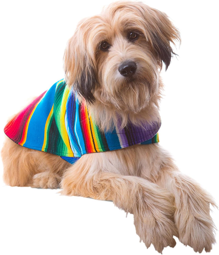 Hundebekleidung, handgefertigter Hundeponcho aus authentischer mexikanischer Decke, Blau, Grösse XXS