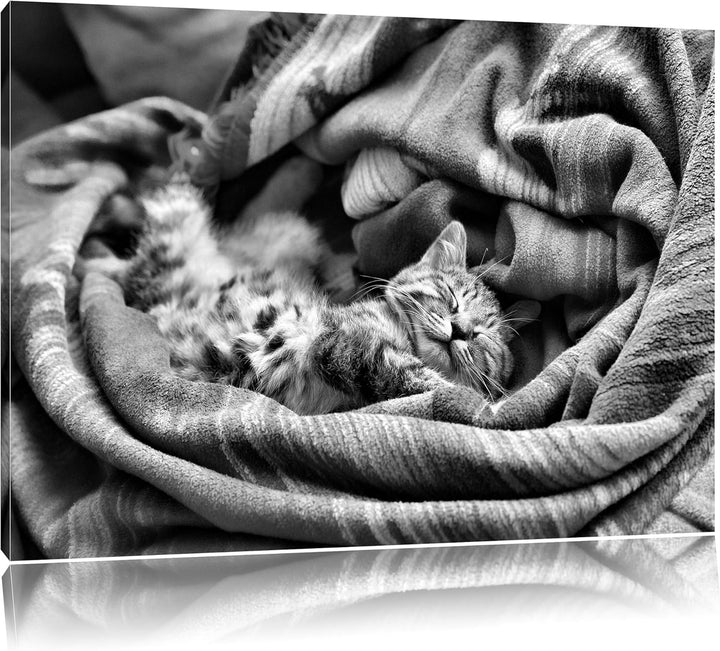 Monocrome, Babykatze, Format: 100x70 auf Leinwand, XXL riesige Bilder fertig gerahmt mit Keilrahmen,