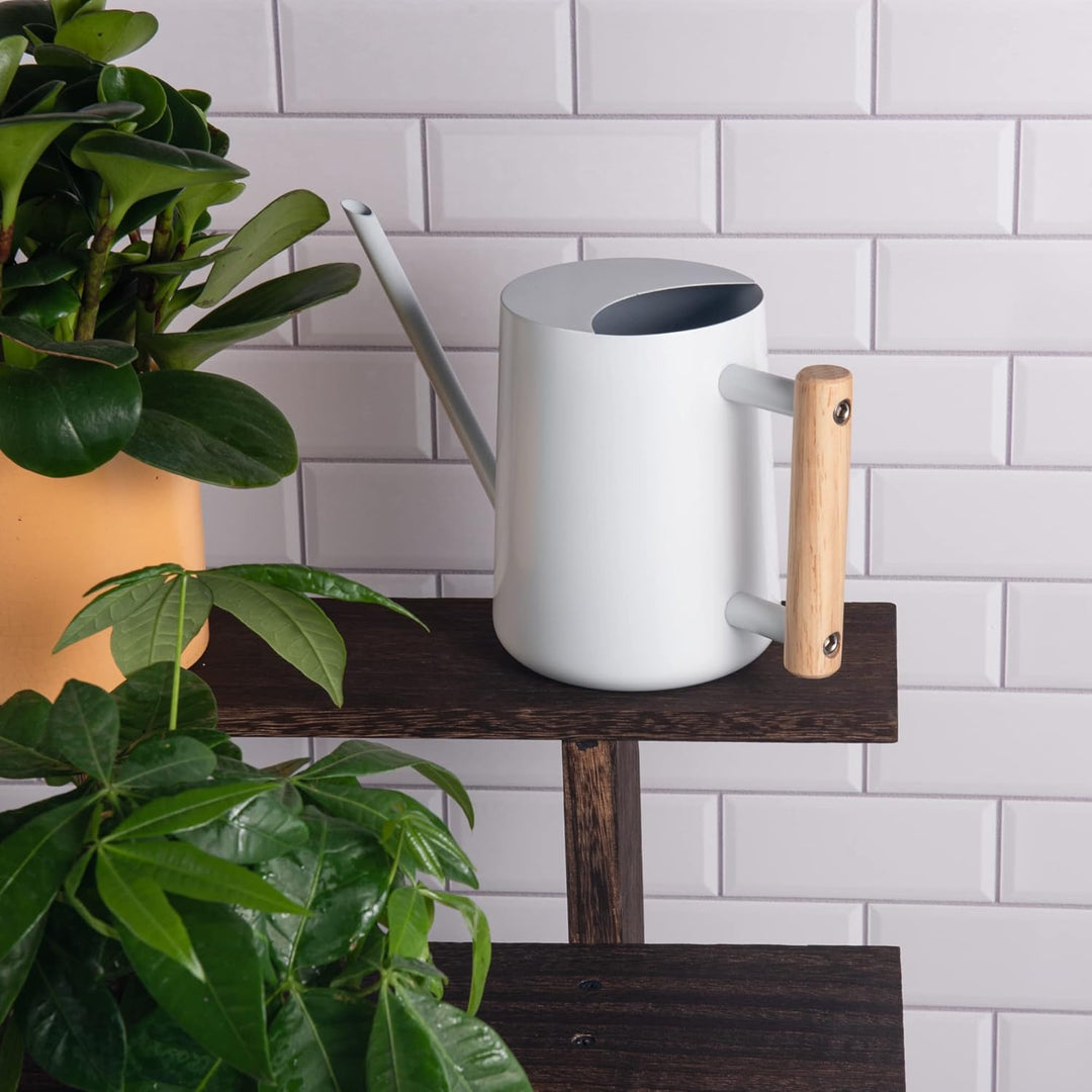 IMEEA Giesskanne Klein 1L Giesskanne Edelstahl Indoor & Outdoor Giesskanne mit langem Auslauf Bewäss