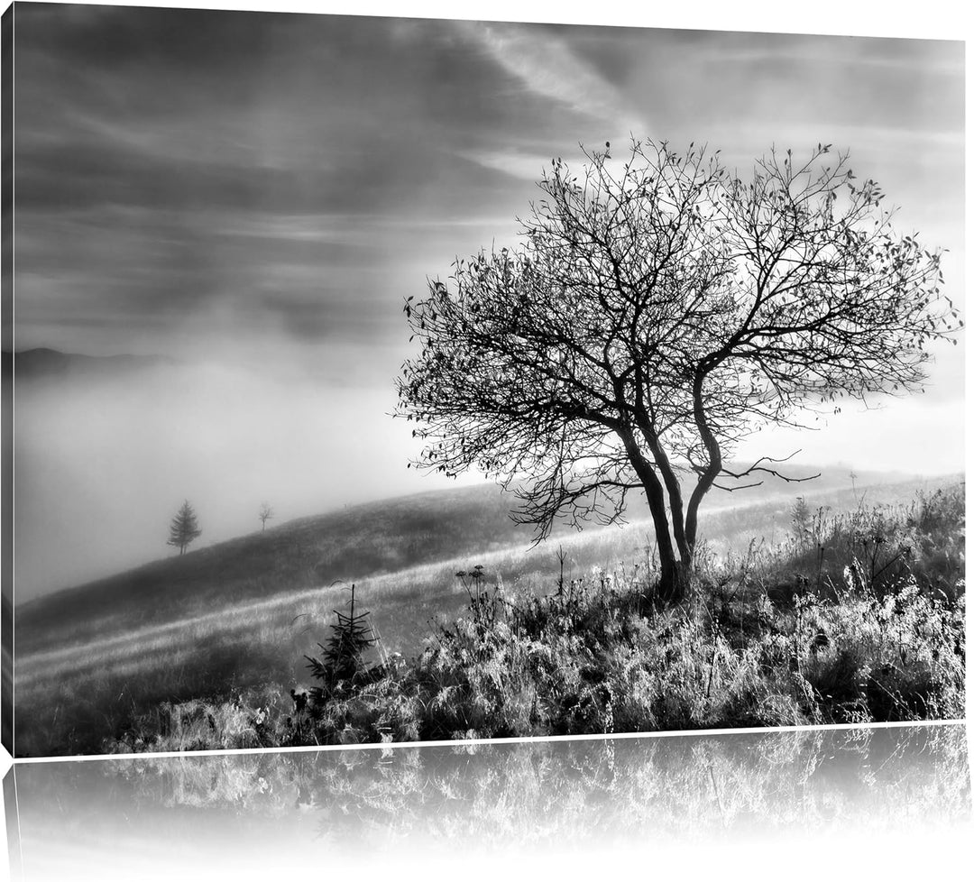 Pixxprint Monocrome, Baum im hohen Gras schwarz weiss, Format: 100x70 auf Leinwand, XXL riesige Bild