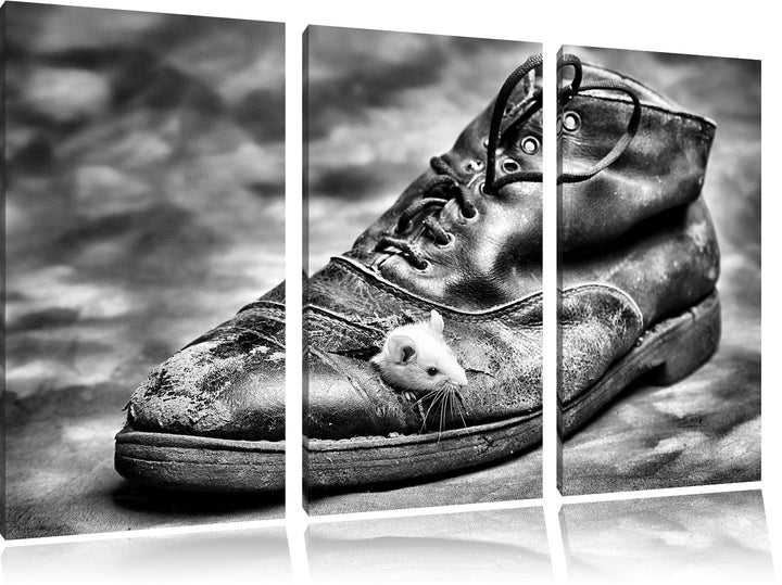 Pixxprint Maus, schwarzer Schuh, als Leinwandbild | Grösse: 3 Teilig (120x80) | Wandbild| Kunstdruck