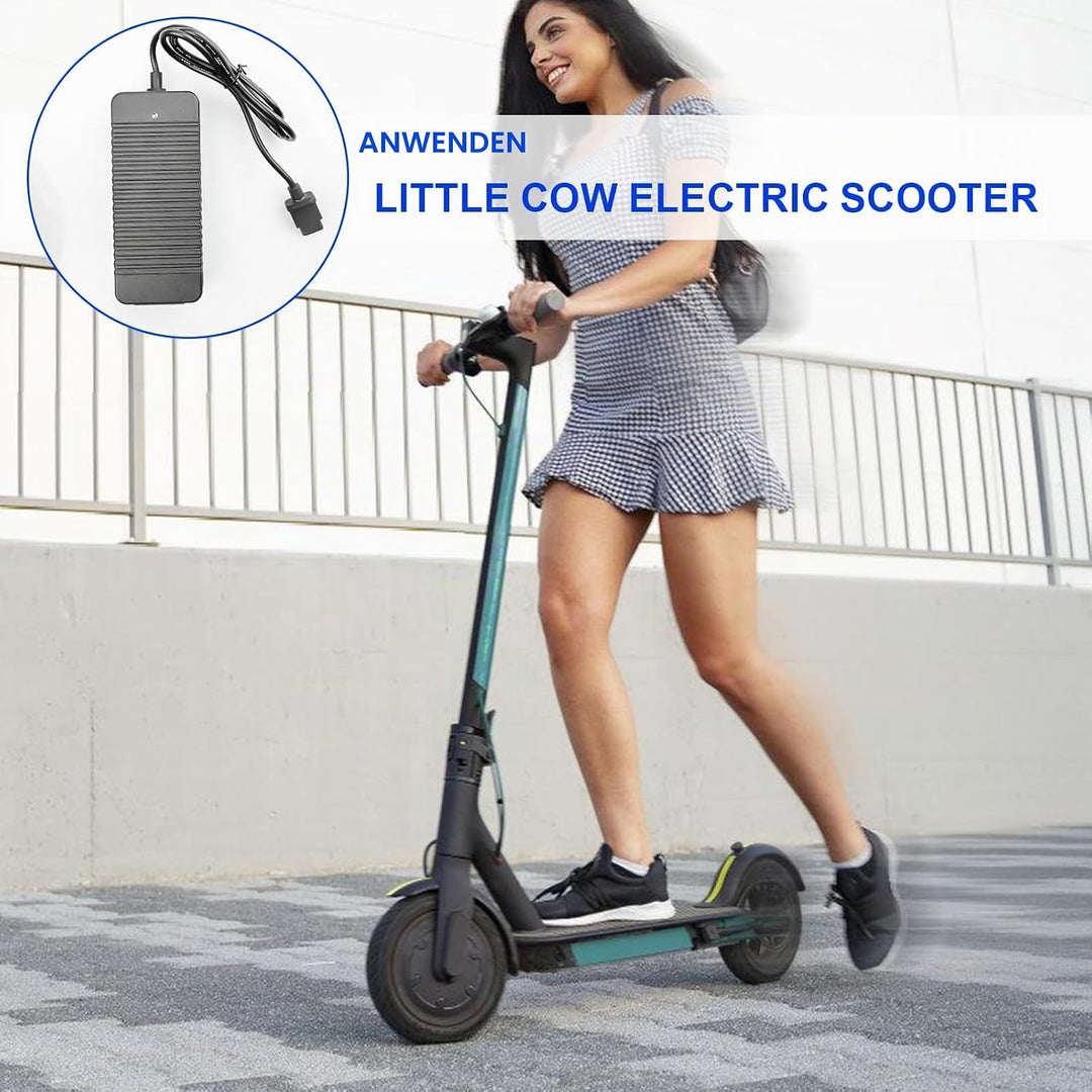 53.5V 2A Ladegerät für NIU KQI2 KQI3, Akku Elektroroller Lader, EU-Stecker Scooter Ladegerät für KQi