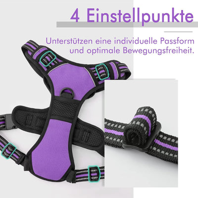 rabbitgoo Hundegeschirr Mittelgrosse Hunde Anti Zug Geschirr Hund mit Kontrolle No Pull Verstellbar