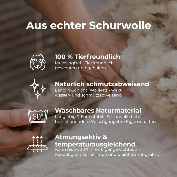 NOVALIV Schurwoll Kniedecke Outdoor Rollstuhl - Warme Beindecke mit wasserabweisender Oberseite - Sc