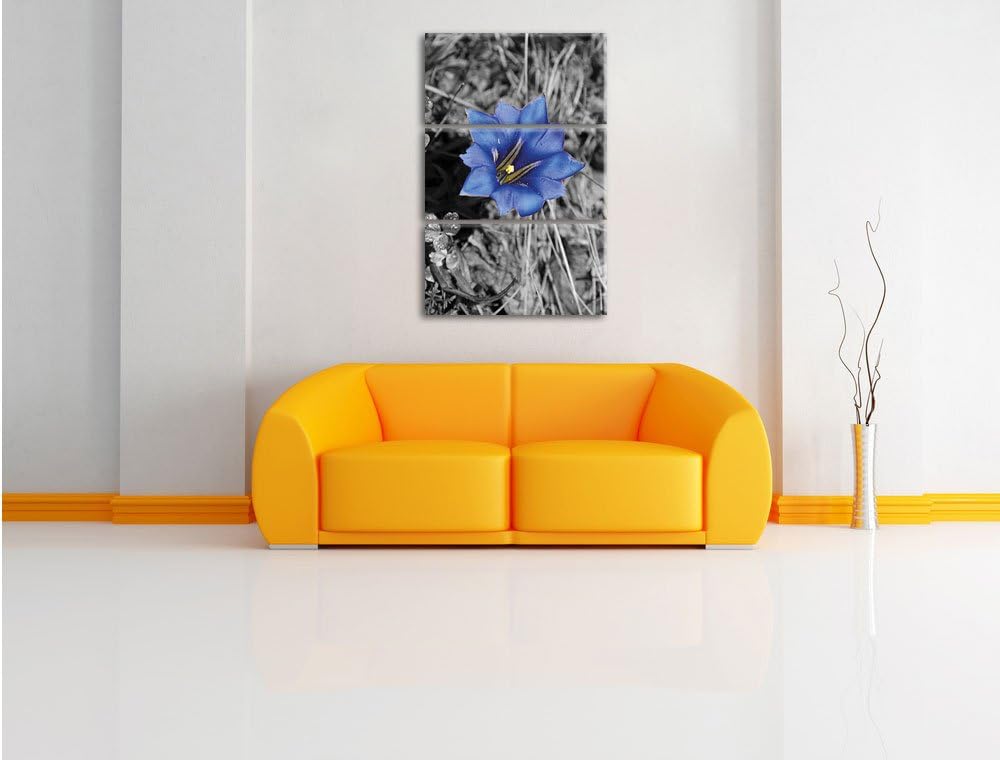 Pixxprint Süsse Blume als Leinwandbild/Grösse: 3 Teilig (120x80) / Wandbild/Kunstdruck/fertig bespan