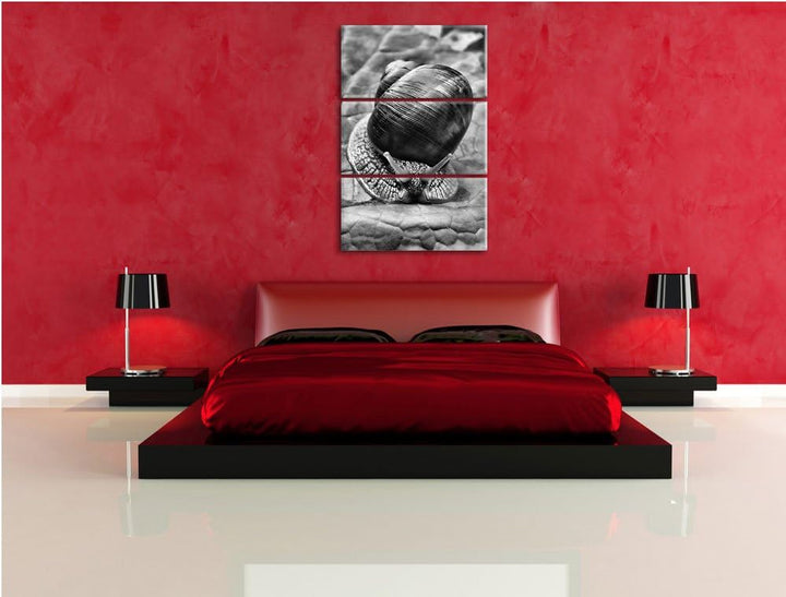 Pixxprint Weinbergschnecke auf Blatt als Leinwandbild/Grösse: 3 Teilig (120x80) cm/Wandbild/Kunstdru