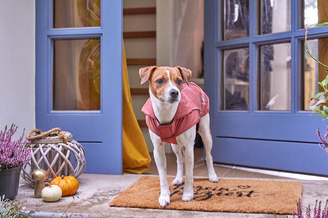 Wolters Skijacke Dogz Wear, Grösse:28 cm, Farbe:rost rot 28 cm rost rot, 28 cm rost rot