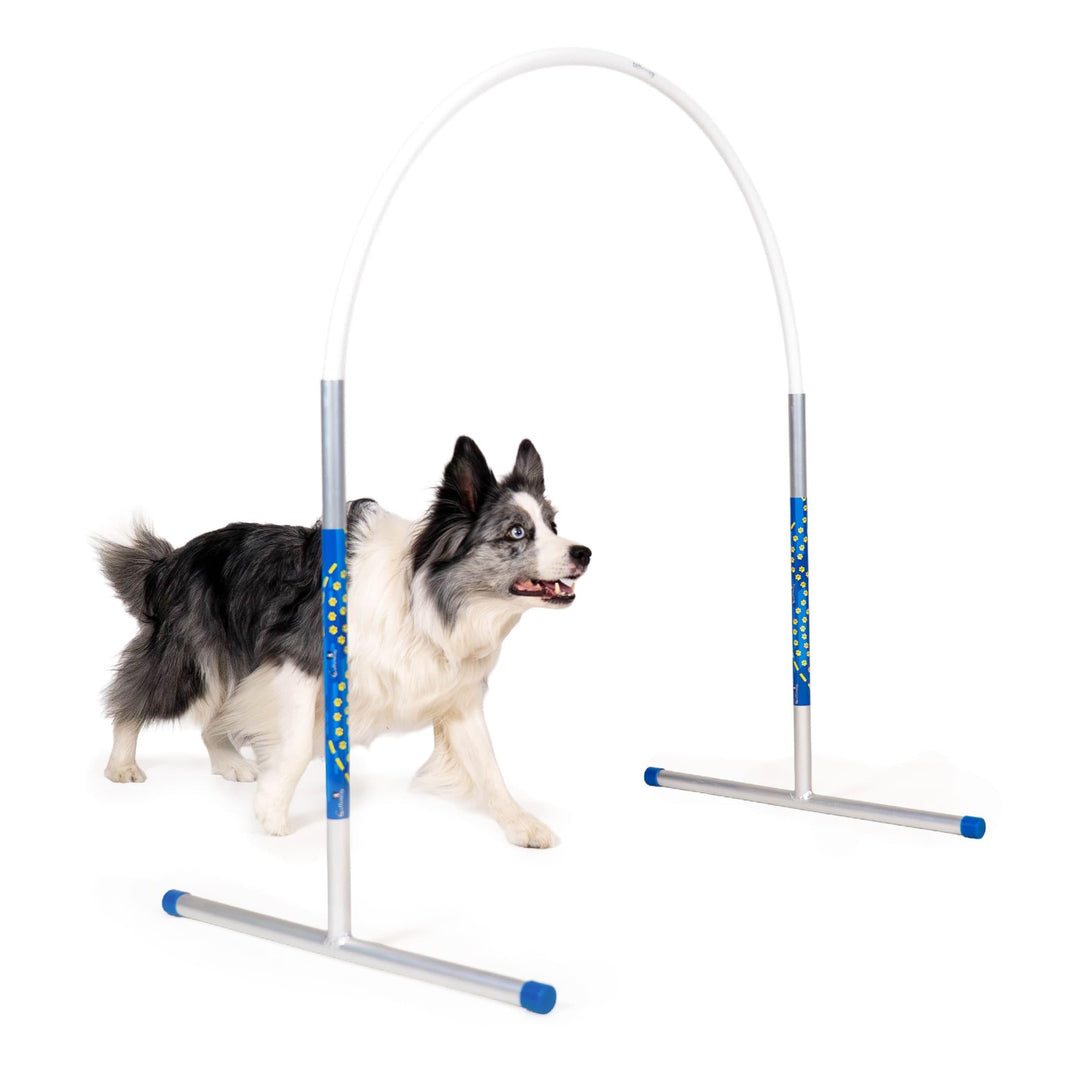 Callieway Hoopers Agility Hoops aus Aluminium, 6er Set ohne Mittelstrebe, frei formbar & universell