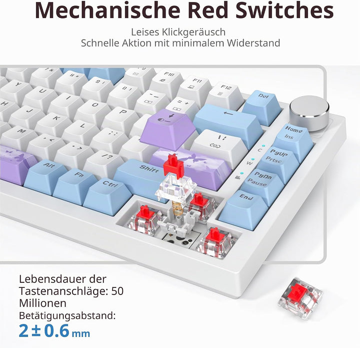 SOLIDEE Verkabelte Mechanische Gaming Tastatur 75 Prozent,hot-swap-fähige Mechanische Tastatur mit G