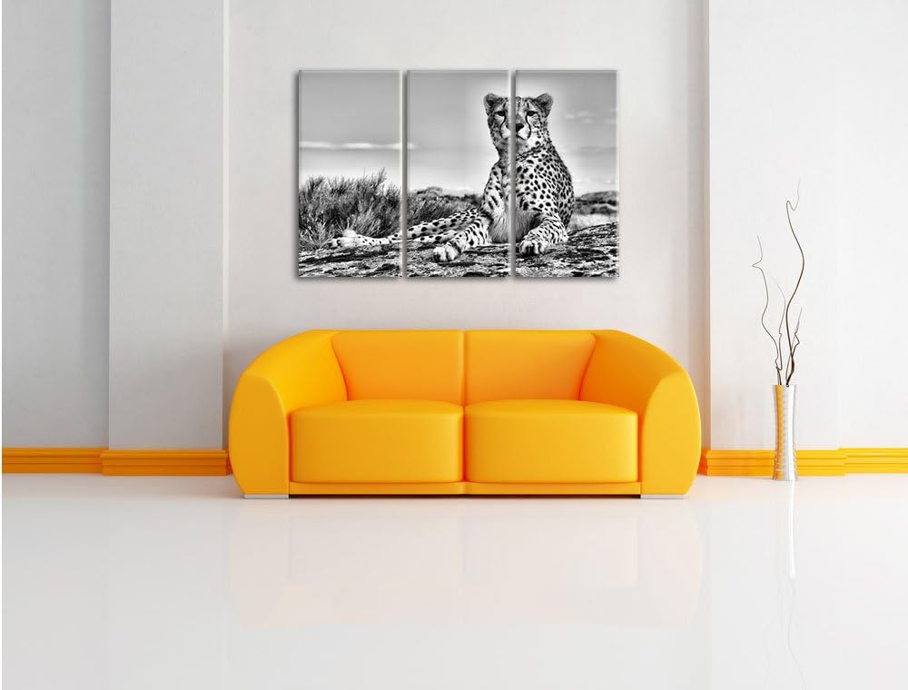 Pixxprint Monocrome, Gepard in Savanne 3-Teiler Leinwandbild 120x80 Bild auf Leinwand