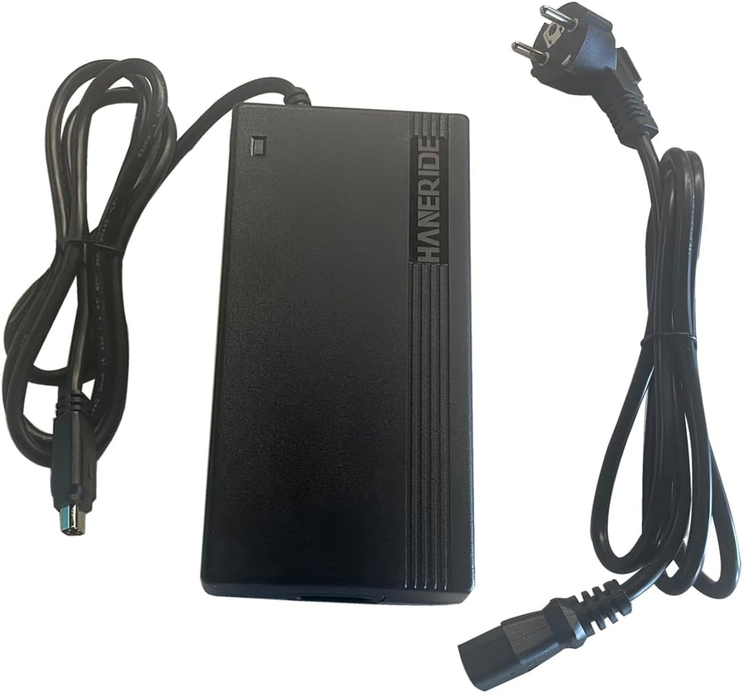 42V 3A Ladegerät 5PIN für Fischer E-Bike 36V akku ETD/ETH 1801, Terra 2.0/ Phylion JCEB mit Trapezst