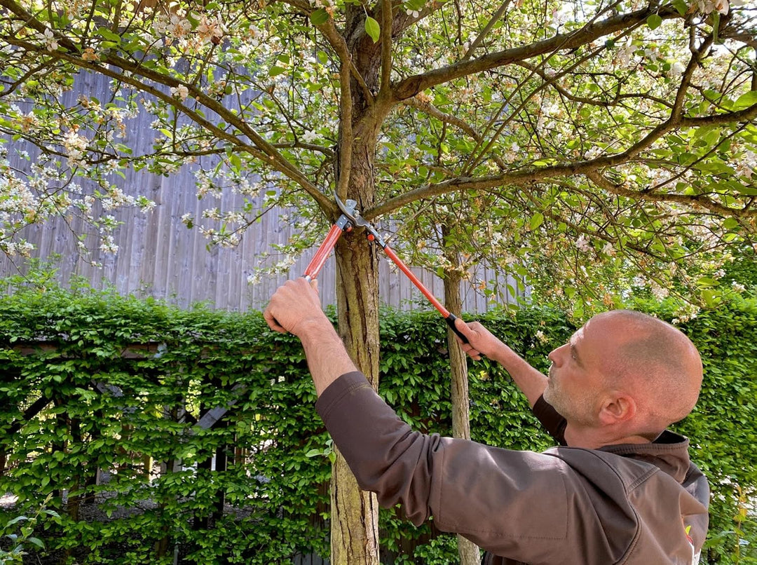 Podadera Dos Manos 50 Cm