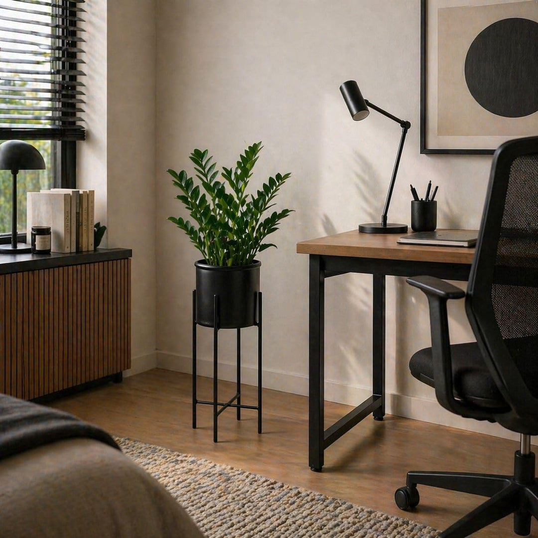 Moderne Blumenständer Metall 75 cm Hoch mit Schwarz Blumentopf Rund 21 cm Ø auf Robuste Ständer - Pf