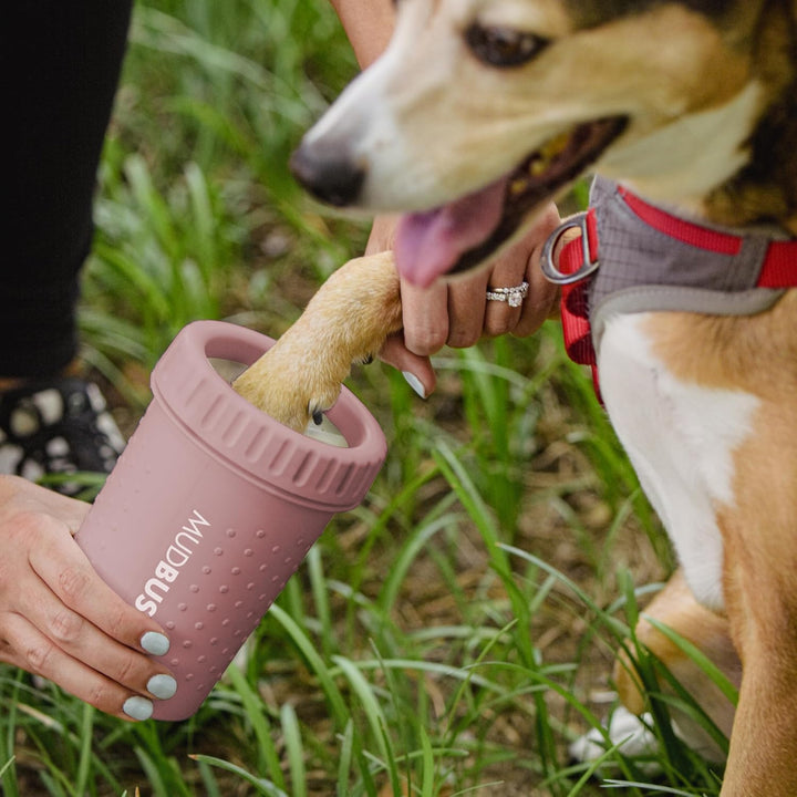 Dexas MudBuster Medium Dog Paw Cleaner in Rouge, Portable Paw Washer for Muddy Paws, Dog Foot Cleani
